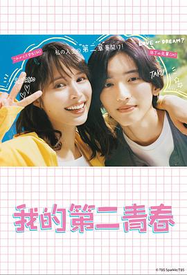 金凤区智能网站优化方案